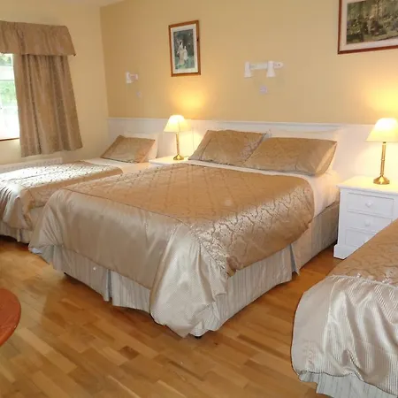 Bed & Breakfast Redwood