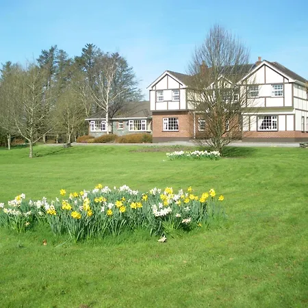 住宿加早餐酒店 红木酒店