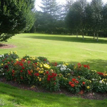 红木酒店 住宿加早餐酒店 Dunrine
