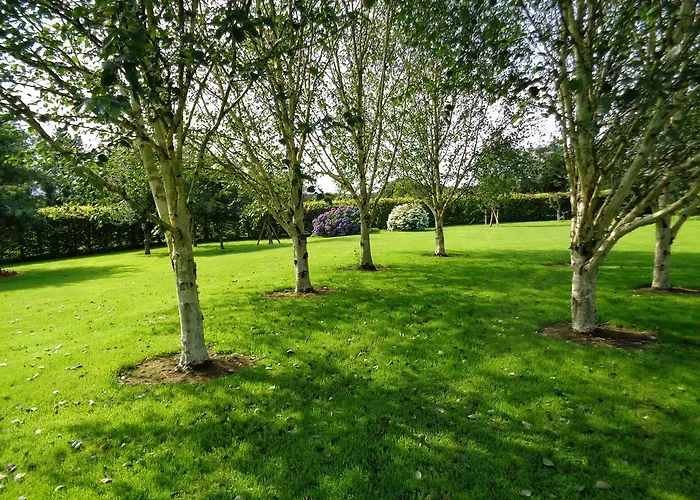 Redwood Bed & Breakfast Dunrine