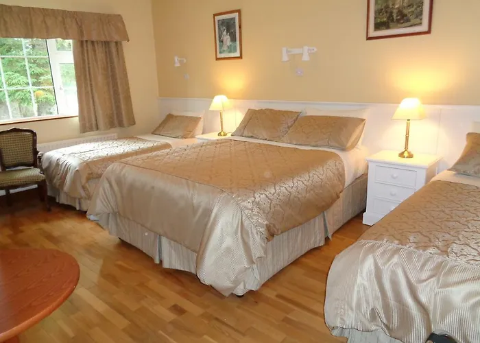Bed & Breakfast Redwood